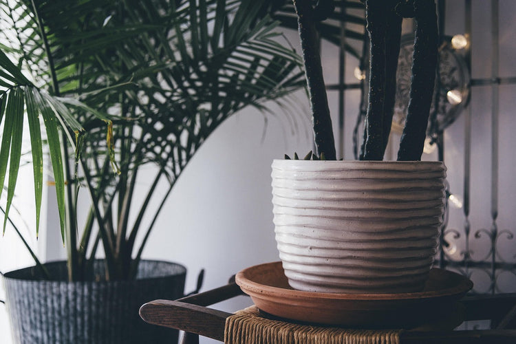 Homevibe's Bestsellers